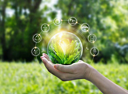 Environmental policy